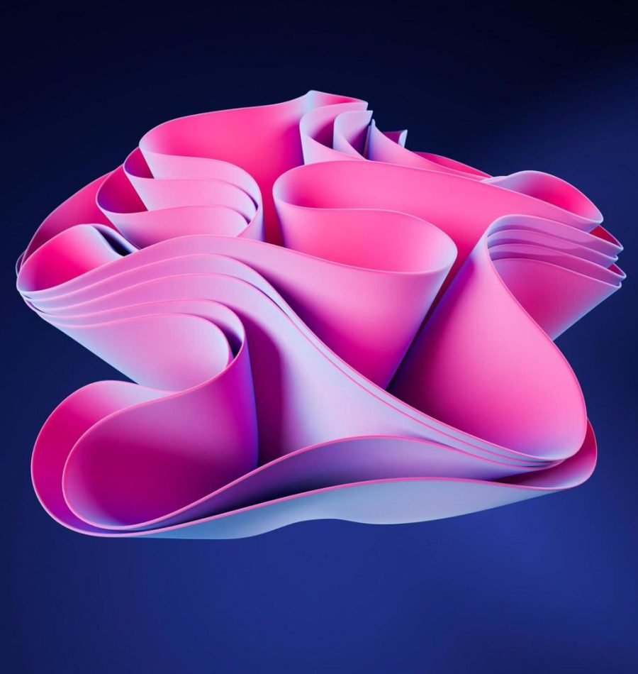 wmremove-transformed (4)